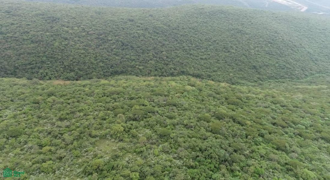Land in Canoas, Jalisco, Mexiko 3 - 18585145