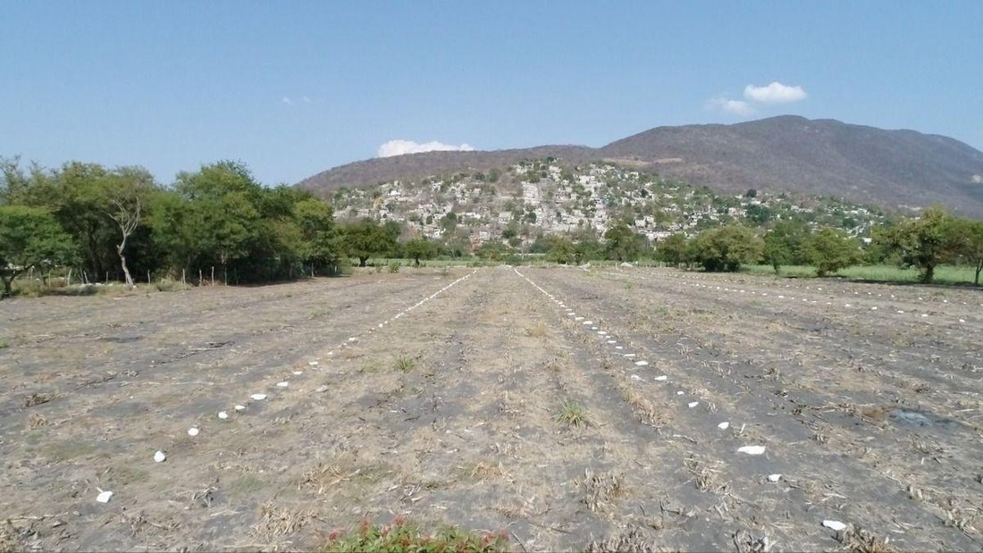 Terreno en Jojutla de Juárez, Morelos, México 4 - 18742454