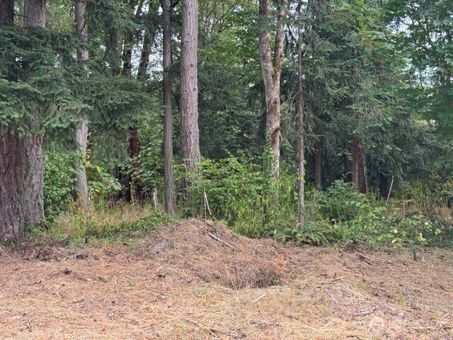 Terreno en Auburn, Washington, Estados Unidos 1 - 18746240