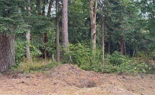 Terreno en Auburn, Washington, Estados Unidos 1