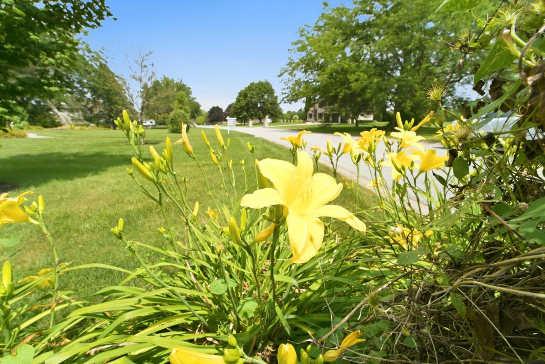 Andere in Crown Point, Indiana, Vereinigte Staaten 5 - 18741297