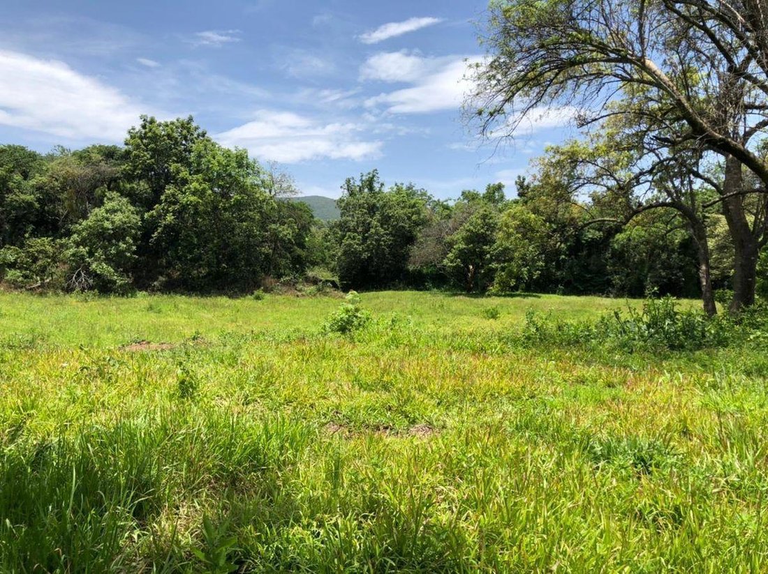 Land in San Andrés de la Cal, Morelos, Mexico 3 - 18742405