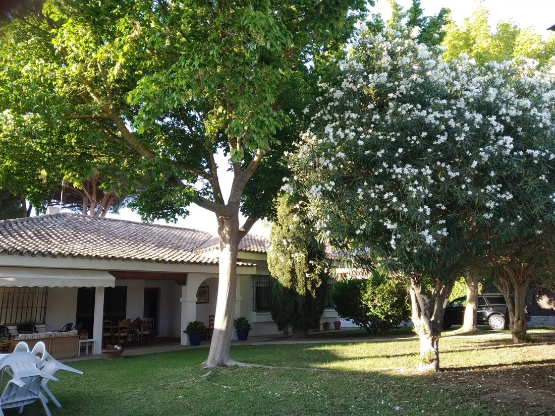 Villa in El Puerto de Santa María, Andalusien, Spanien 3 - 18743028