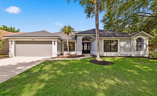 Haus in Palm Harbor, Florida, Vereinigte Staaten 1