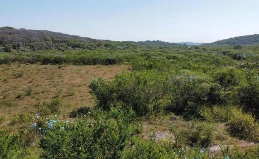 Land in Tetecala, Morelos, Mexiko 1