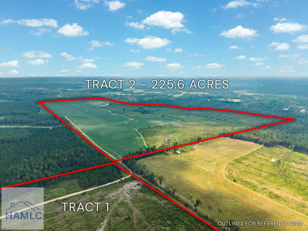 Land in Alma, Georgia, United States 4 - 18663149