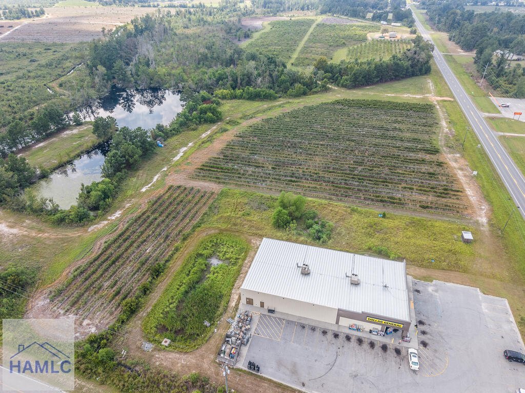 Land in Alma, Georgia, United States 1 - 18663149