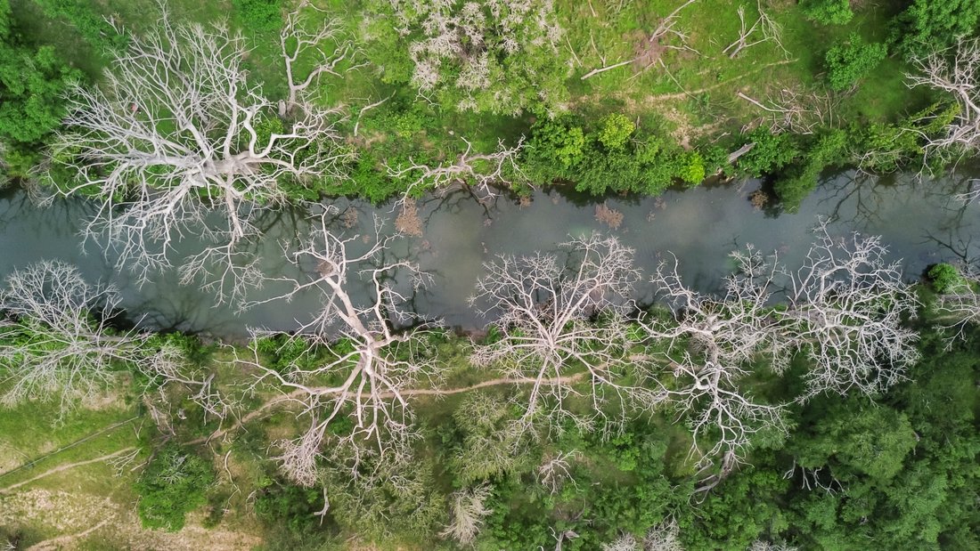 Farm Ranch in Center Point, Texas, Vereinigte Staaten 2 - 18740024