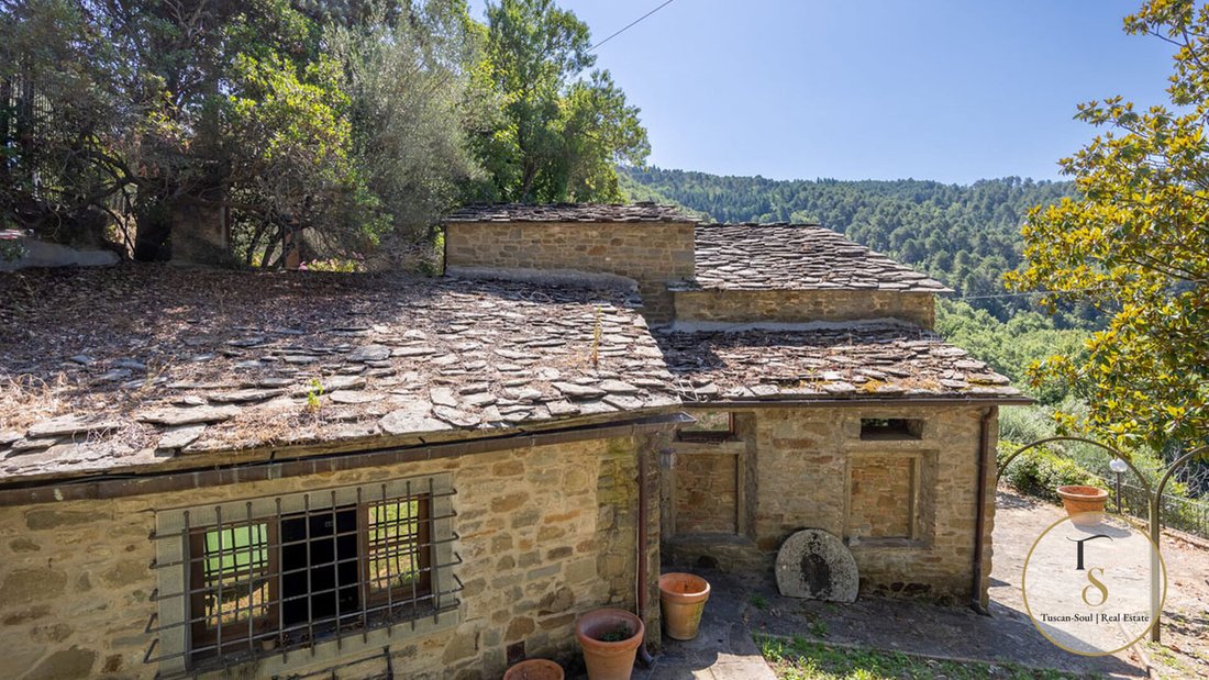 Landhaus in Zentrum, Arezzo, Toskana 5 - 18745206
