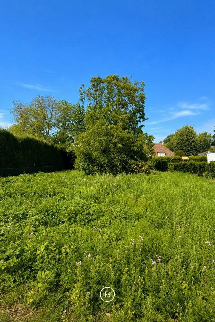 Land in Wemmel, Flanders, Belgium 5 - 18741045