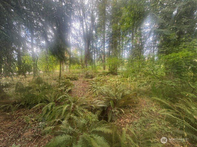 Terreno en Auburn, Washington, Estados Unidos 3 - 18746240