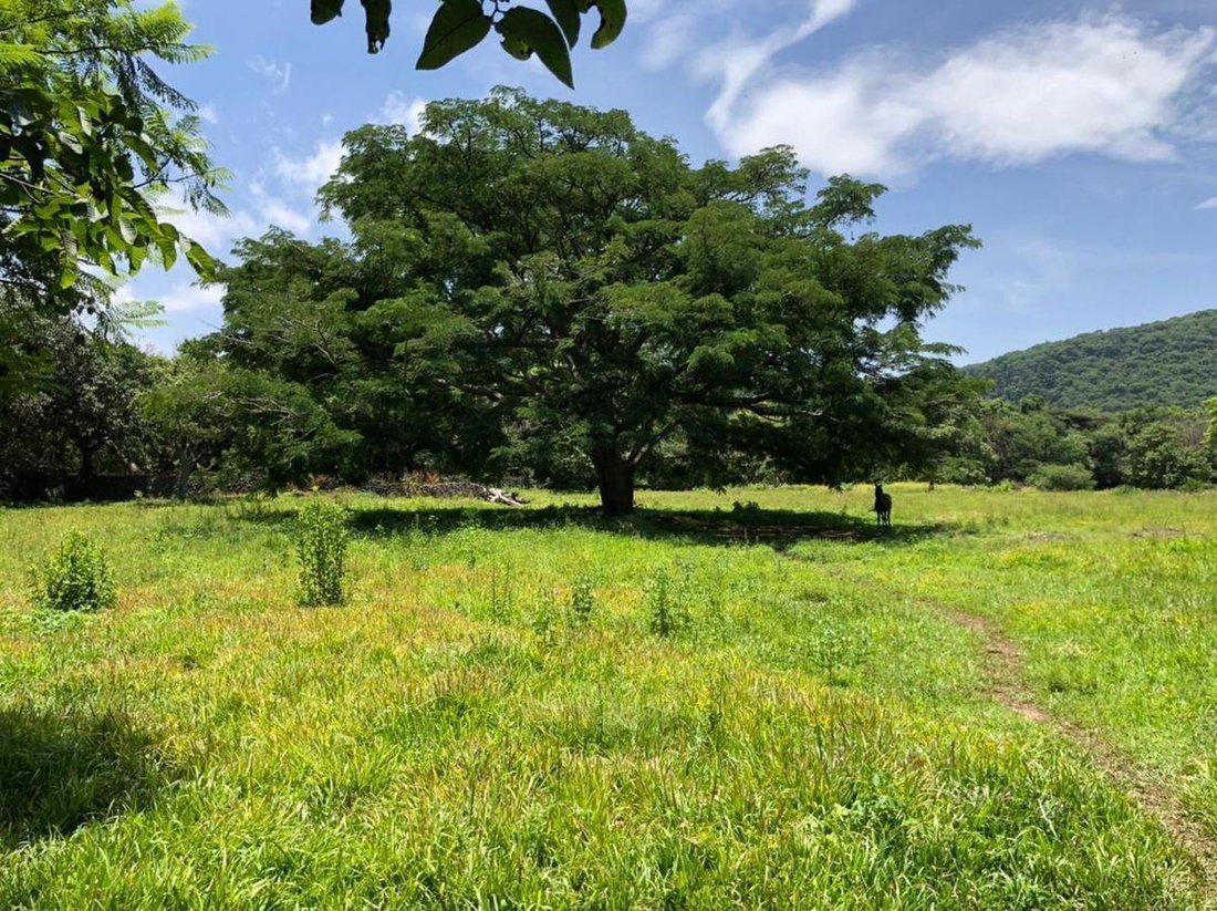 Land in San Andrés de la Cal, Morelos, Mexico 5 - 18742405