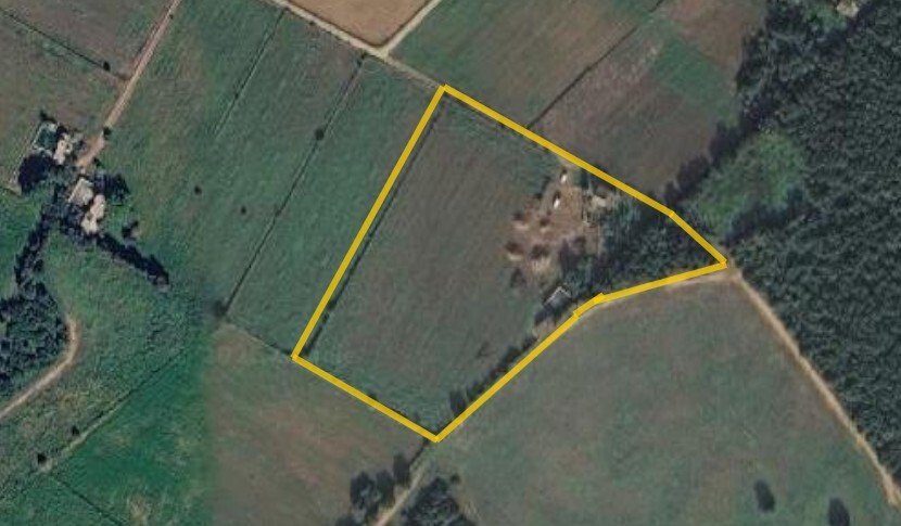 Farm Ranch in Muro, Balearische Inseln, Spanien 5 - 18744693