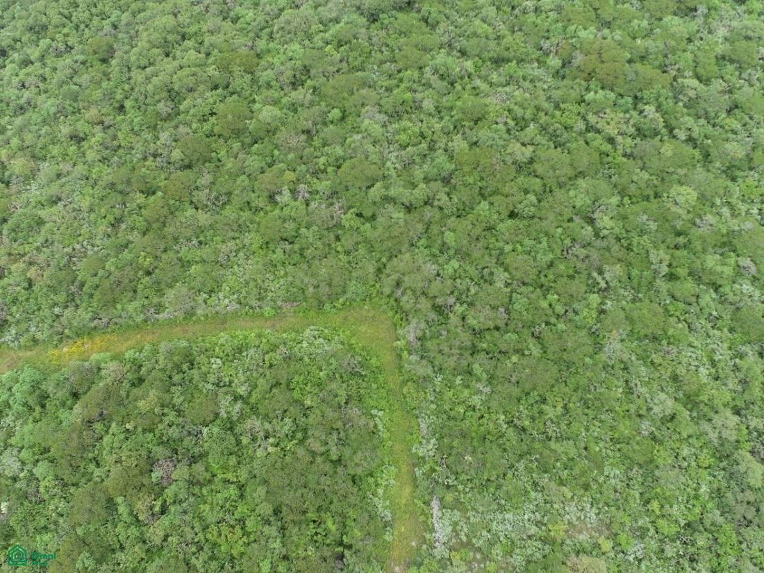 Land in Canoas, Jalisco, Mexiko 4 - 18585145