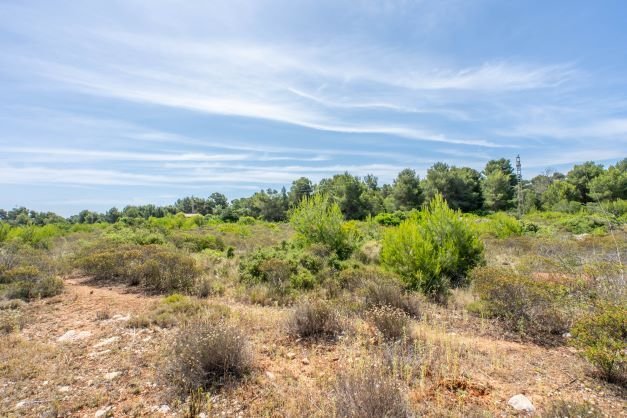 Terreno en Jávea, Comunidad Valenciana, España 5 - 18741631