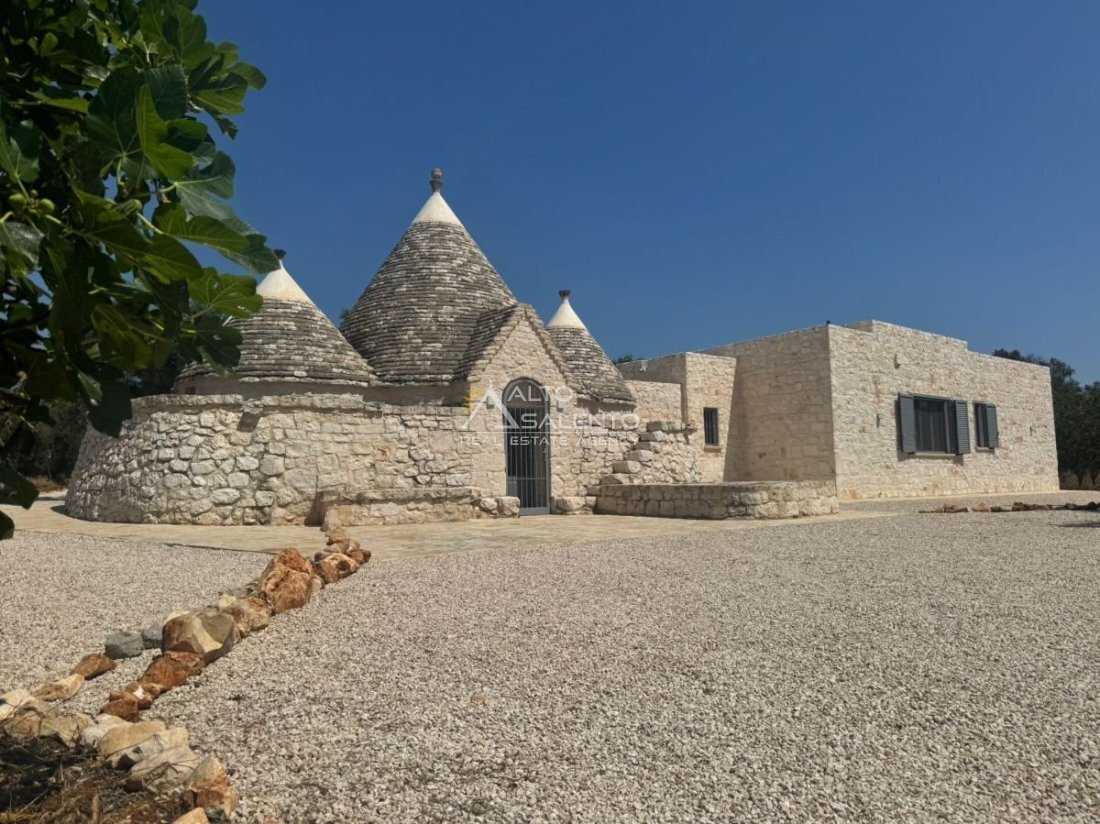 Casa de Campo en San Vito de los Normanni, Apulia, Italia 1 - 18741339