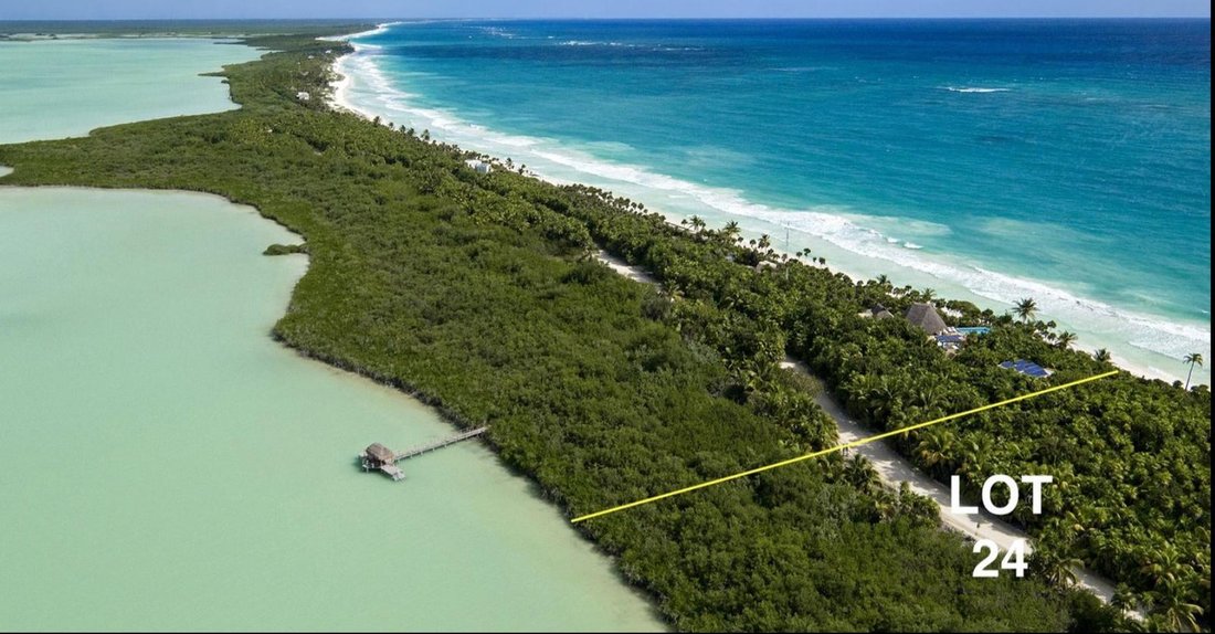 Terreno a Campechen, Quintana Roo, Messico 1 - 18741780