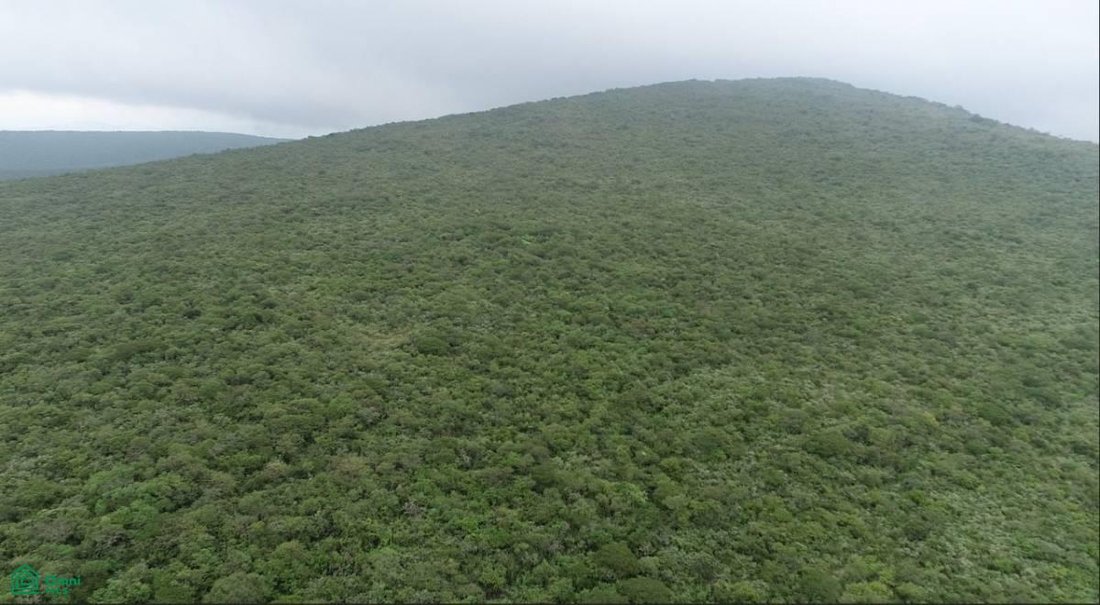 Land in Canoas, Jalisco, Mexiko 1 - 18585145