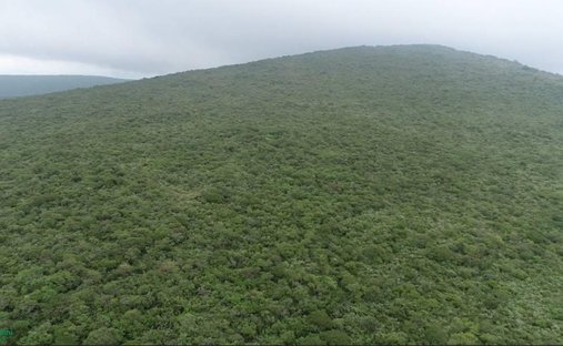 Land in Canoas, Jalisco, Mexico 1