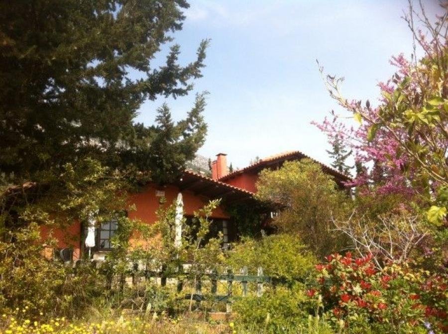 Casa en Paiania, Ática, Grecia 3 - 18743107