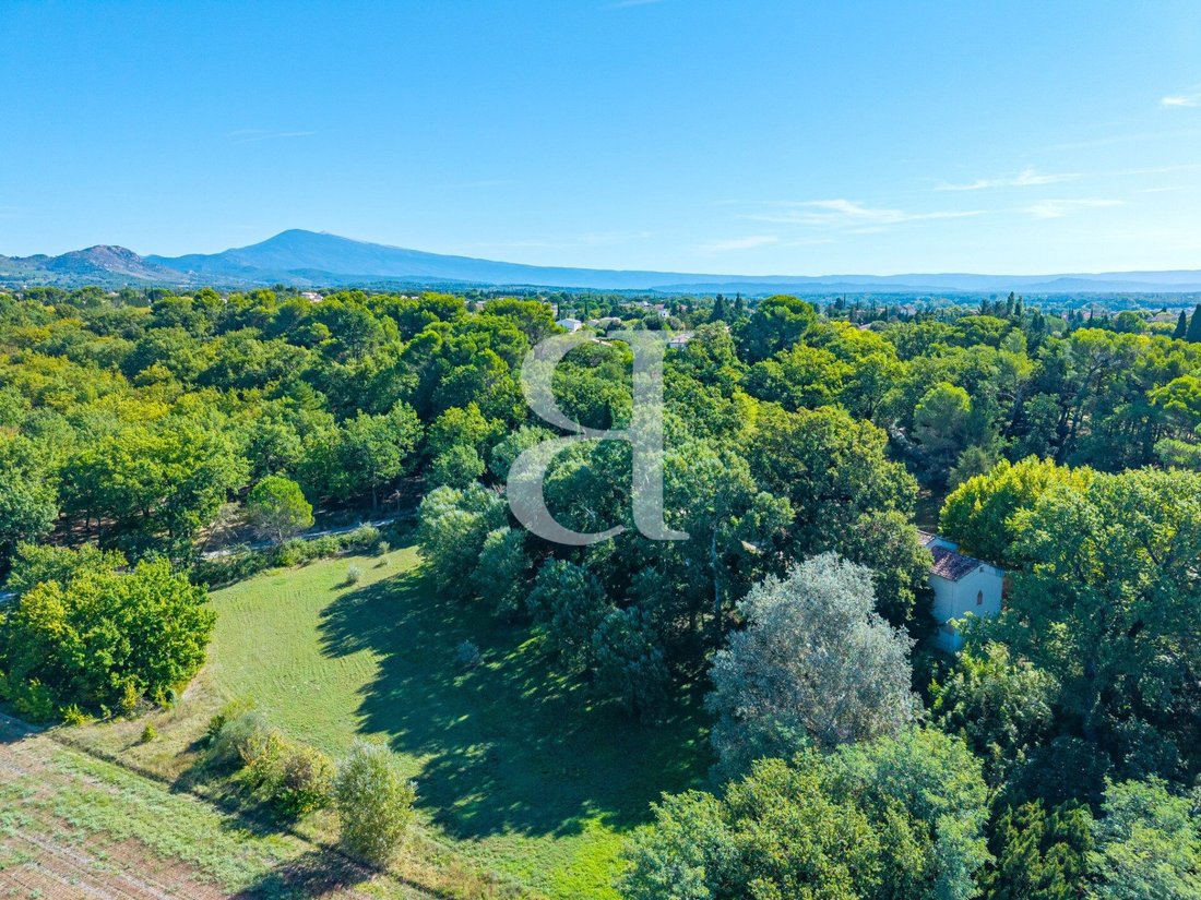 Maisons de campagne à Aubignan, Provence-Alpes-Côte d'Azur, France 4 - 16838317