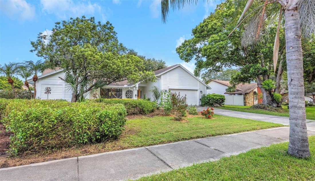 House in Dunedin, Florida, United States 2 - 18743288