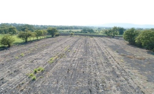 Land in Jojutla de Juárez, Morelos, Mexiko 1