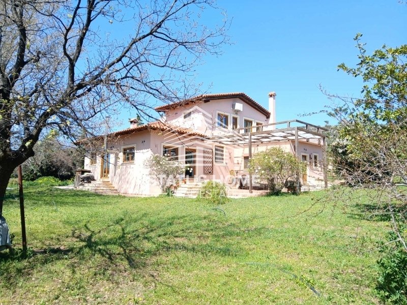 Maison à Kropia, Attique, Grèce 1 - 18741477