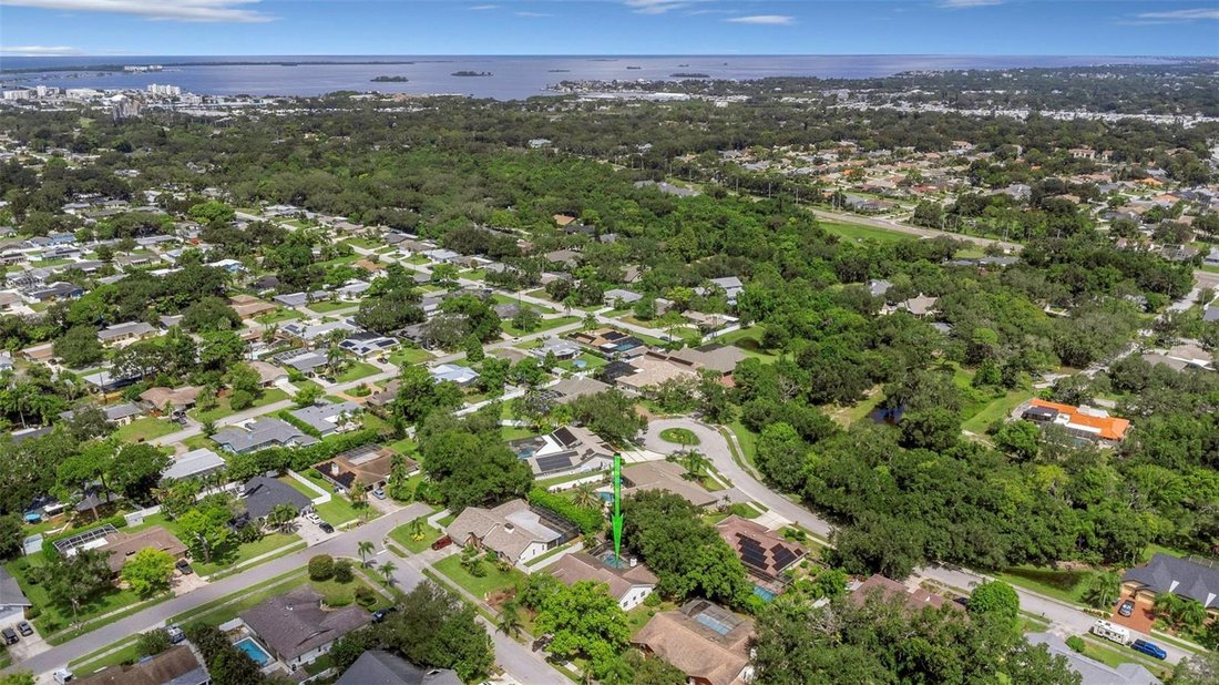 House in Dunedin, Florida, United States 3 - 18743288