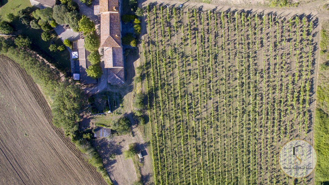 Country House in Center, Arezzo, Tuscany 4 - 18745305