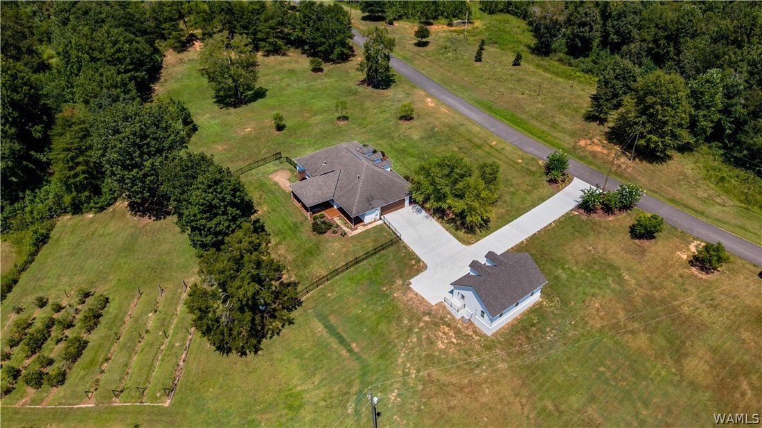 House in Northport, Alabama, United States 1 - 18743890