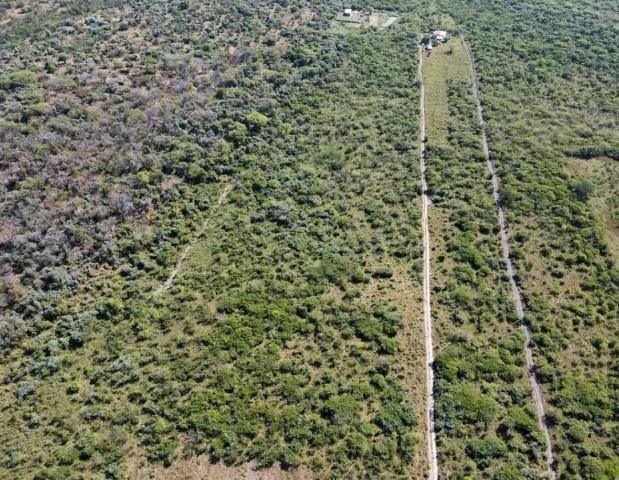 Terreno en Tetecala, Morelos, México 5 - 18742423