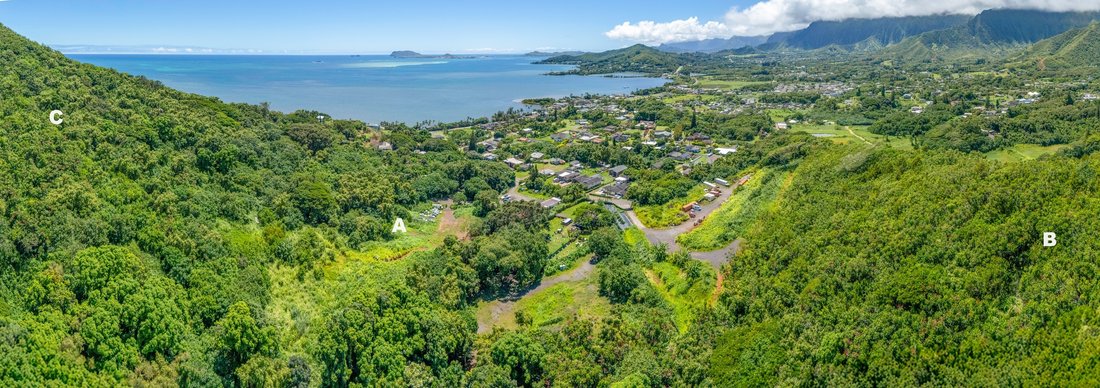Terrain à Kaneohe, Hawaï, États-Unis 5 - 18741102
