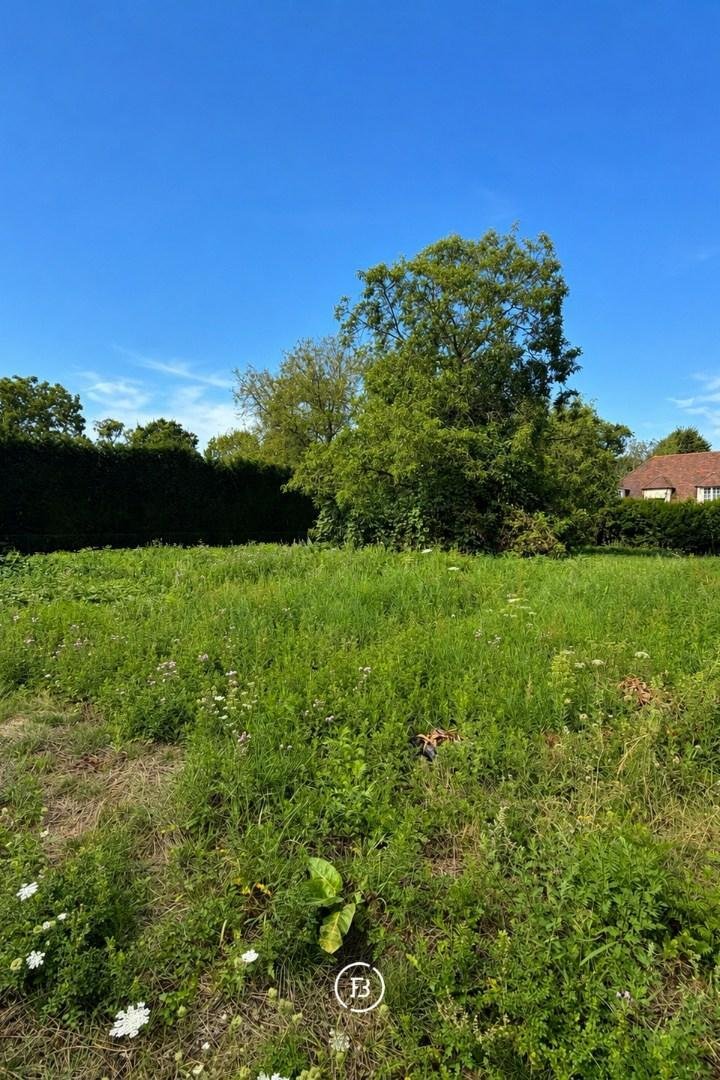 Land in Wemmel, Flanders, Belgium 2 - 18741045