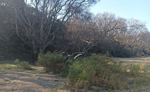 Farm Ranch in Mogale City Local Municipality, Gauteng, South Africa 1
