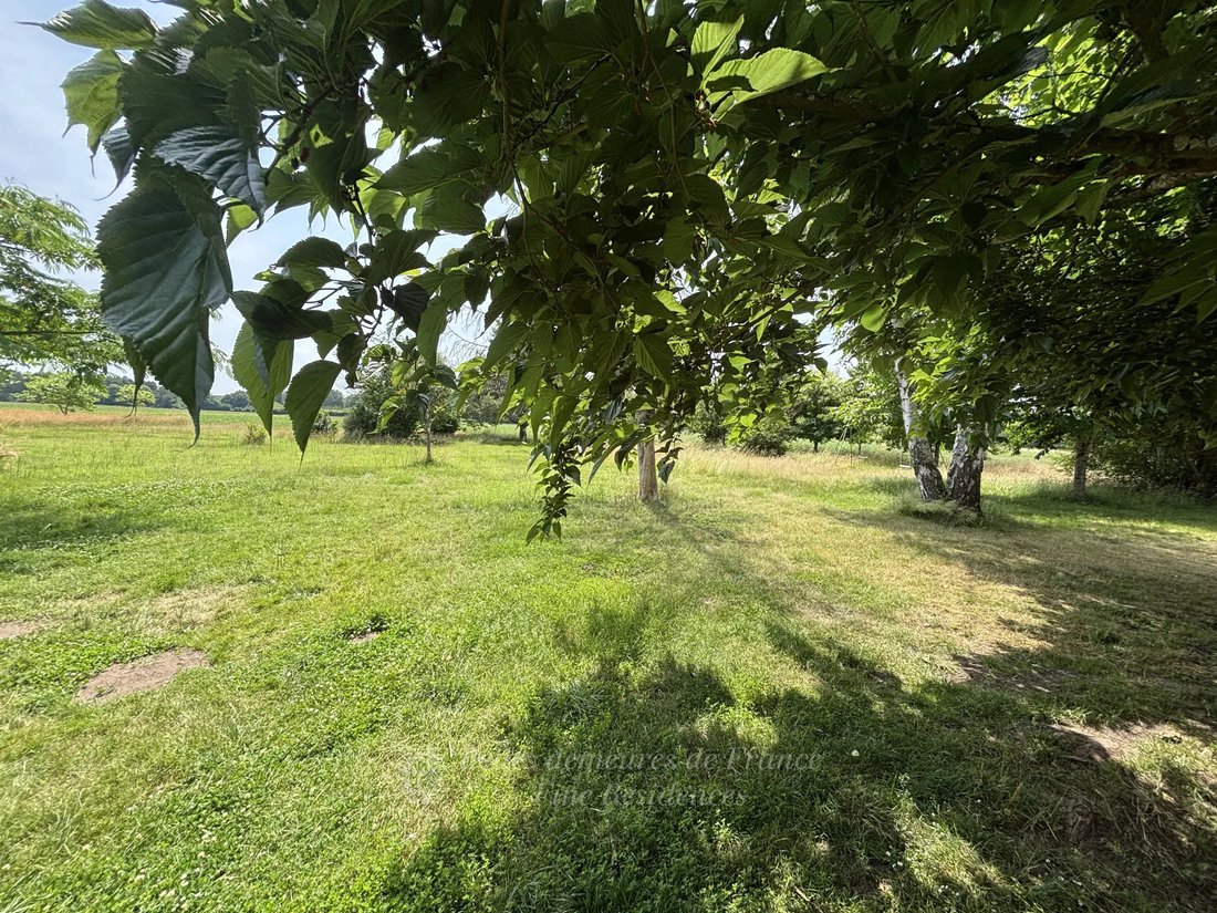 Domaine à Baugé, Baugé-en-Anjou, France 5 - 18741841