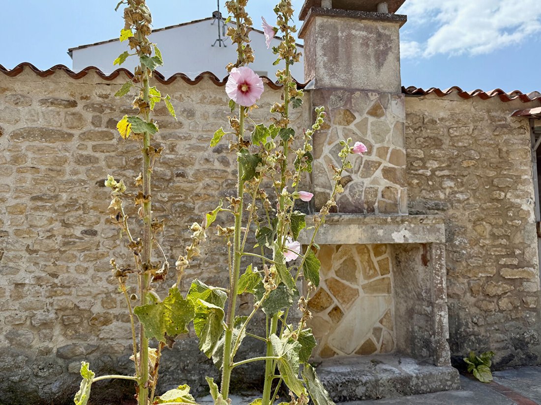 Villa en Loix, Nueva Aquitania, Francia 3 - 18745376