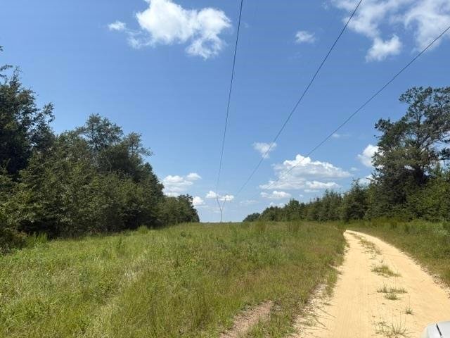 Land in Marianna, Florida, United States 3 - 18743747