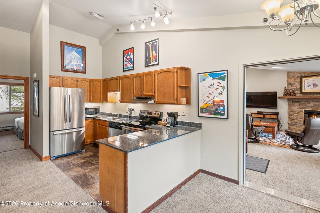 Condo in Snowmass Village, Colorado, United States 3 - 18740281