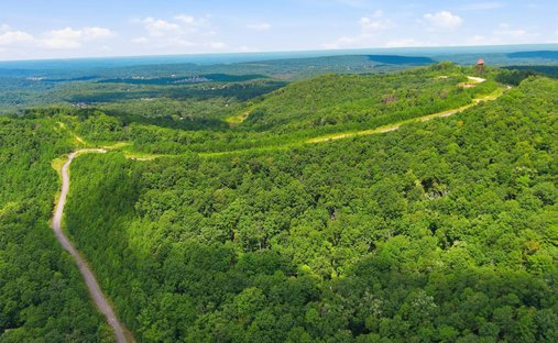 Terrain à Pinson, Alabama, États-Unis 1