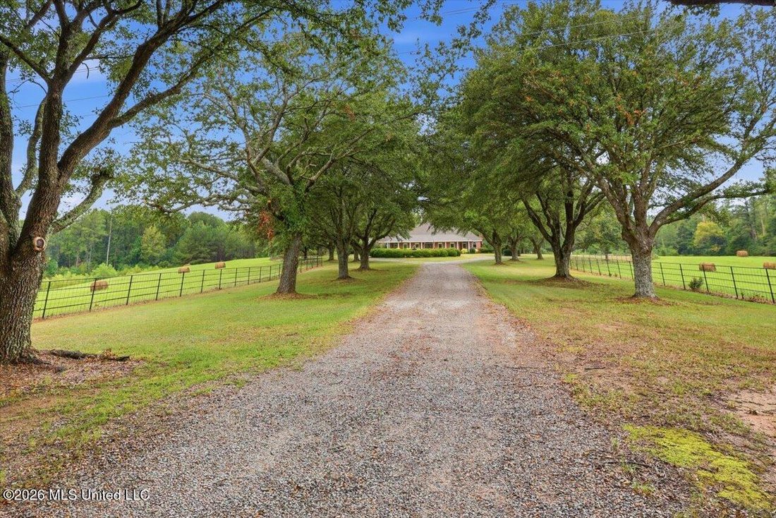 House in Hazlehurst, Mississippi, United States 5 - 18740302