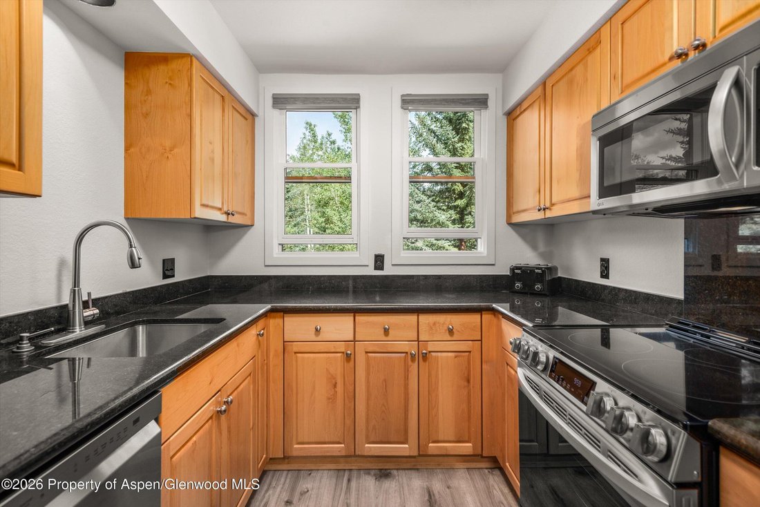 Appartement à Snowmass Village, Colorado, États-Unis 5 - 18741307