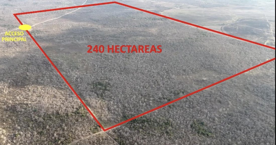 Terreno a Daular, Provincia del Guayas, Ecuador 5 - 18660696