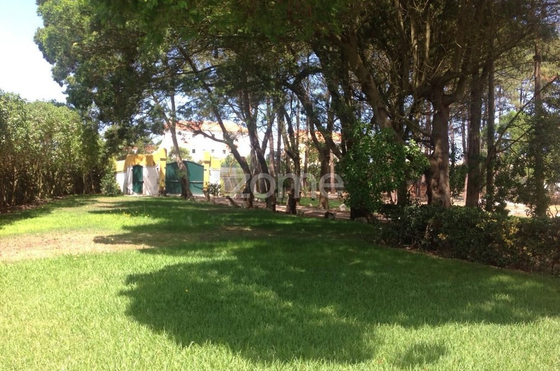 Finca a Gafanha da Nazaré, Distretto di Aveiro, Portogallo 2 - 18745205