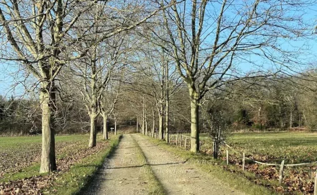 Domaine à Baugé, Baugé-en-Anjou, France 2 - 18741841