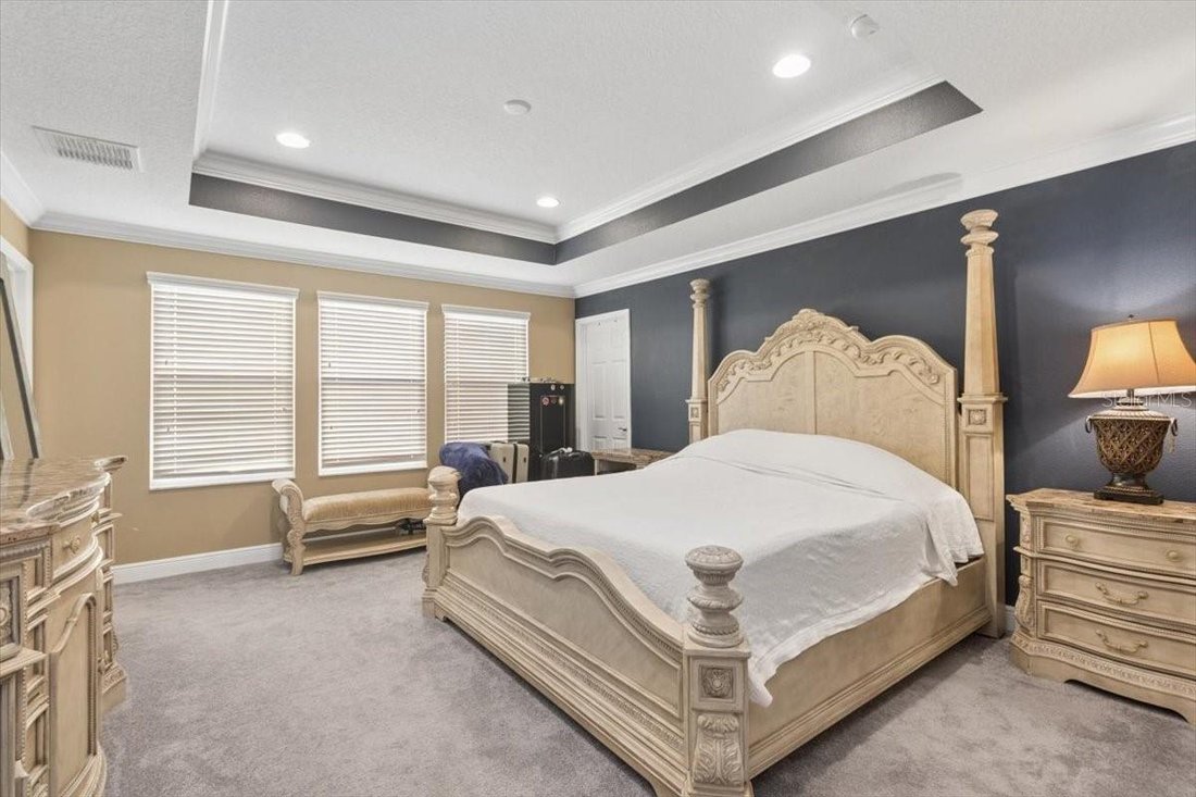 Casa en Land O' Lakes, Florida, Estados Unidos 3 - 18743321