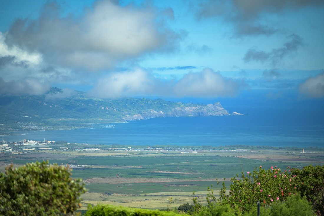 House in Kula, Hawaii, United States 5 - 18744607