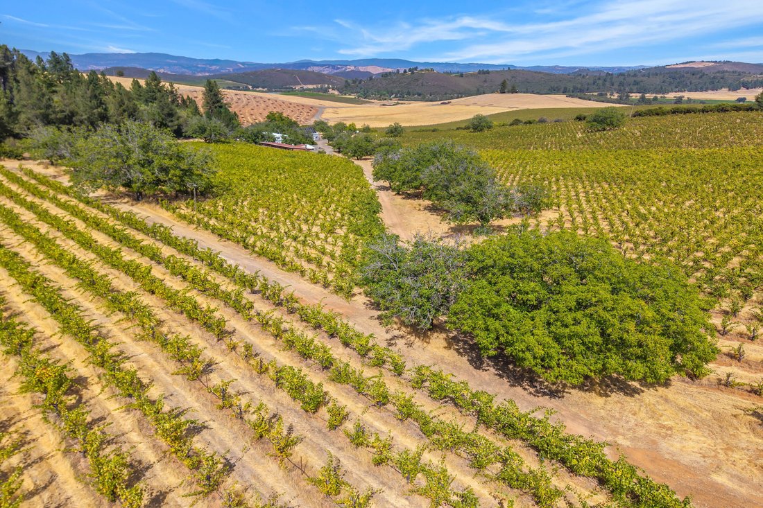 House in Kelseyville, California, United States 3 - 18742119