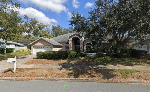Dunedin, Florida, United States 1