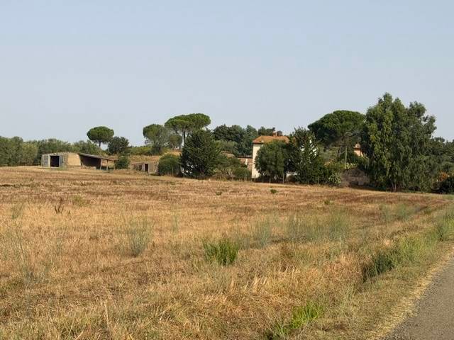 Maisons de campagne à Magliano in Toscana, Toscane, Italie 5 - 18745090